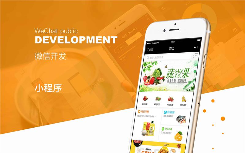 嘉兴农产品小程序研发公司